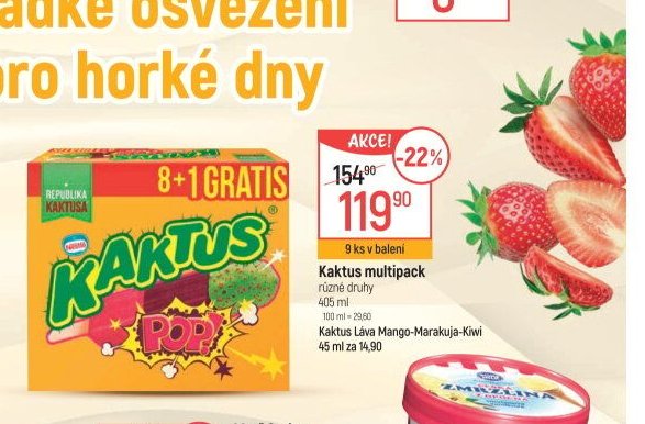 Kaktus multipack