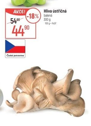 Hlíva ústřičná