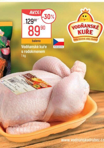 Kuře s rodokmenem Vodňanské kuře