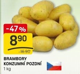 Brambory konzumní pozdní