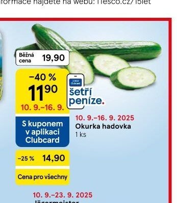 Okurka hadovka 1 ks