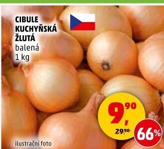 Cibule kuchyňská žlutá