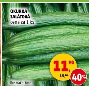 Okurka salátová - hadovka