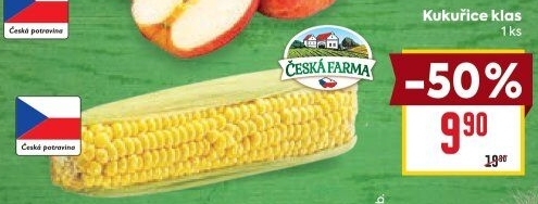 Kukuřice klas Česká farma