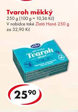 Tvaroh měkký