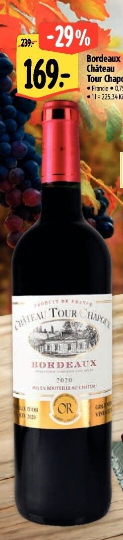 Bordeaux Château Tour Chapoux