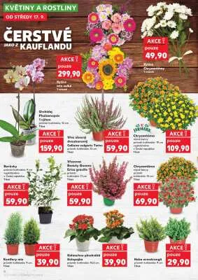 akční leták Kaufland 17.9.2025-23.9.2025