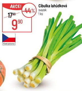 Jarní cibule svazek