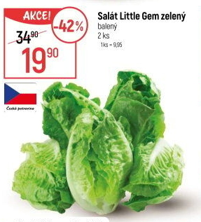 Salát little gem