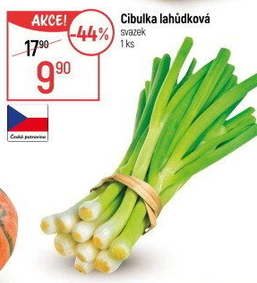 Jarní cibule svazek