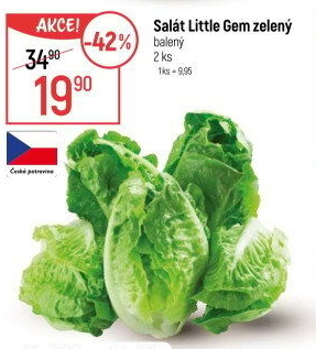 Salát little gem