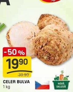 Celer bulva