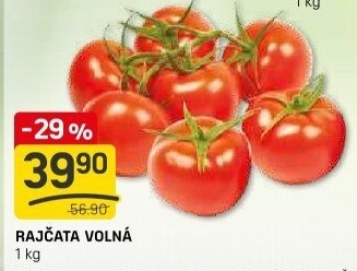 Rajčata keříková