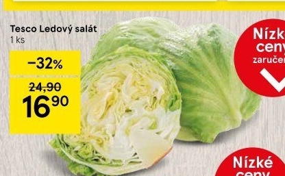 Salát ledový Tesco