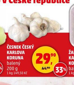 ČESNEK ČESKÝ KARLOVA KORUNA