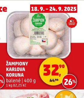 ŽAMPIONY KARLOVA KORUNA