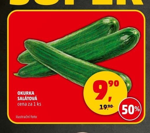 Okurka salátová