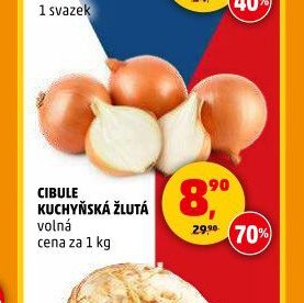 CIBULE KUCHYŇSKÁ ŽLUTÁ