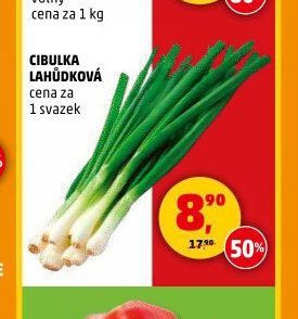 CIBULKA LAHŮDKOVÁ