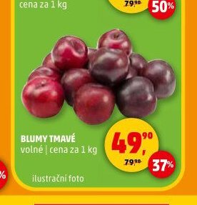 BLUMY TMAVÉ