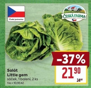Salát little gem Česká farma