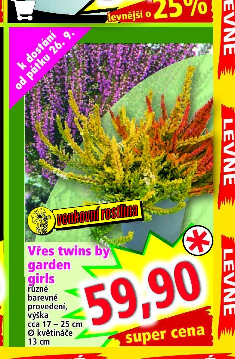 Vřes twins by garden girls