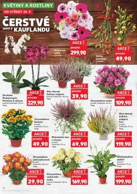 akční leták Kaufland 24.9.2025-30.9.2025