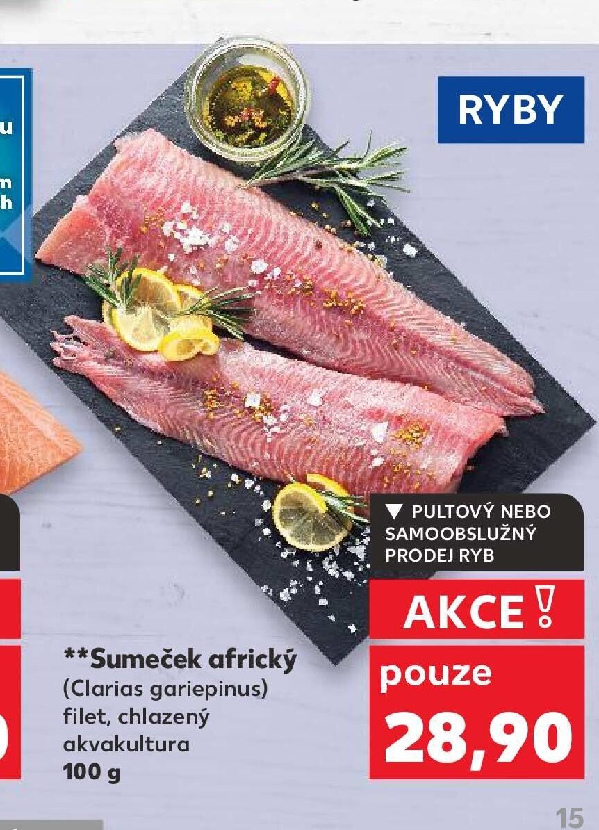 Sumeček africký