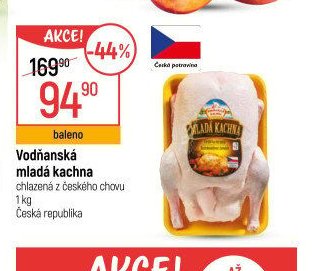 Vodňanská mladá kachna