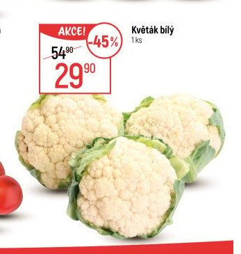 Květák bílý