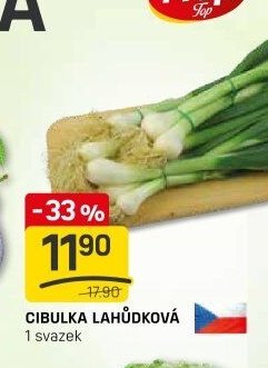 CIBULKA LAHŮDKOVÁ