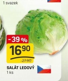 SALÁT LEDOVÝ
