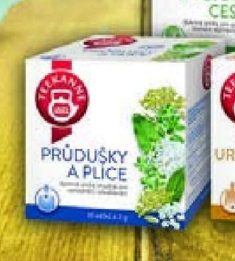 TEEKANNE Průdušky a plíce