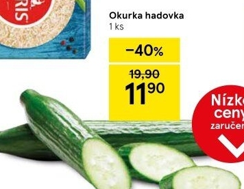 Okurka salátová - hadovka