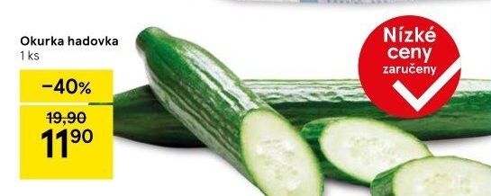 Okurka salátová - hadovka