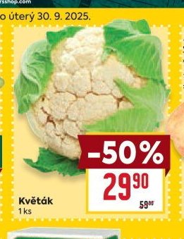 Květák
