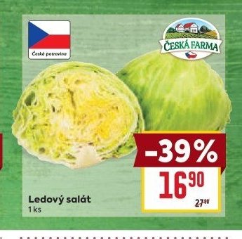 Ledový salát