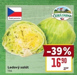 Salát ledový Česká farma