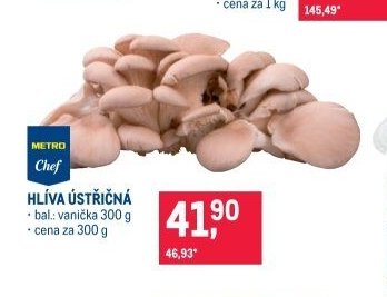 HLÍVA ÚSTŘIČNÁ