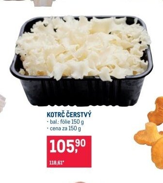 Kotrč čerstvý