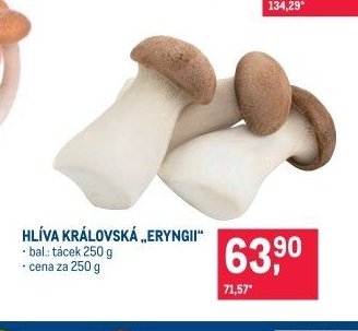 Hlíva královská „Eryngii“