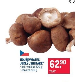 Houževnatec jedlý „Shiitake“
