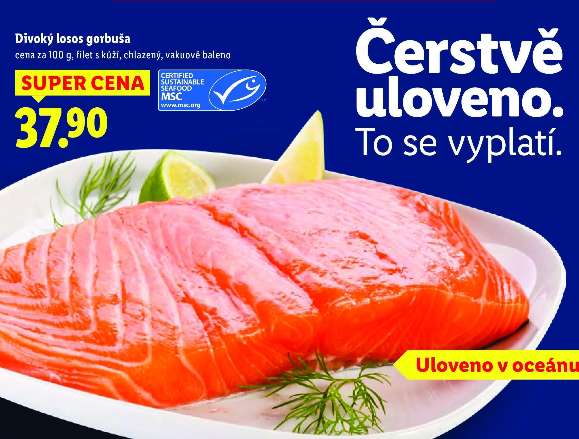 Divoký losos gorbuša