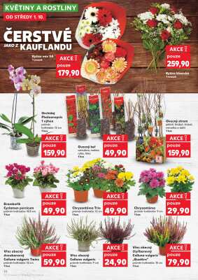 akční leták Kaufland 1.10.2025-7.10.2025