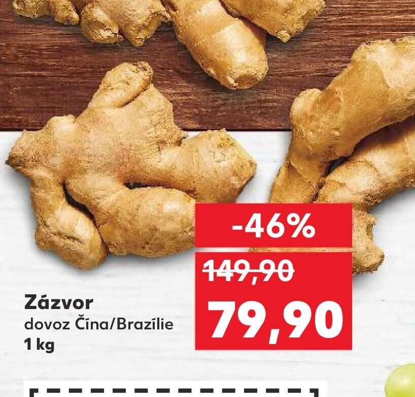 Zázvor