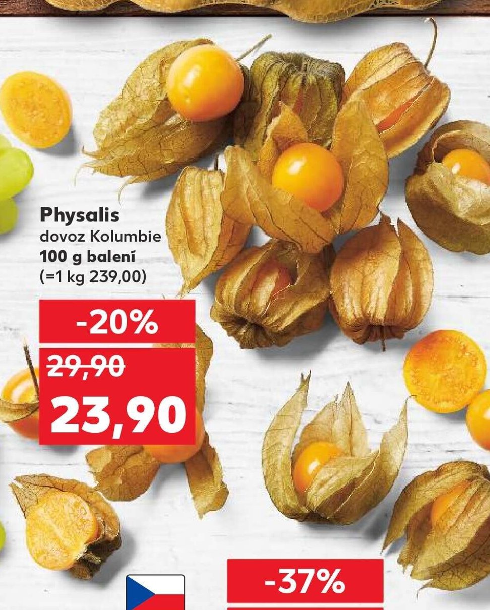 Physalis
