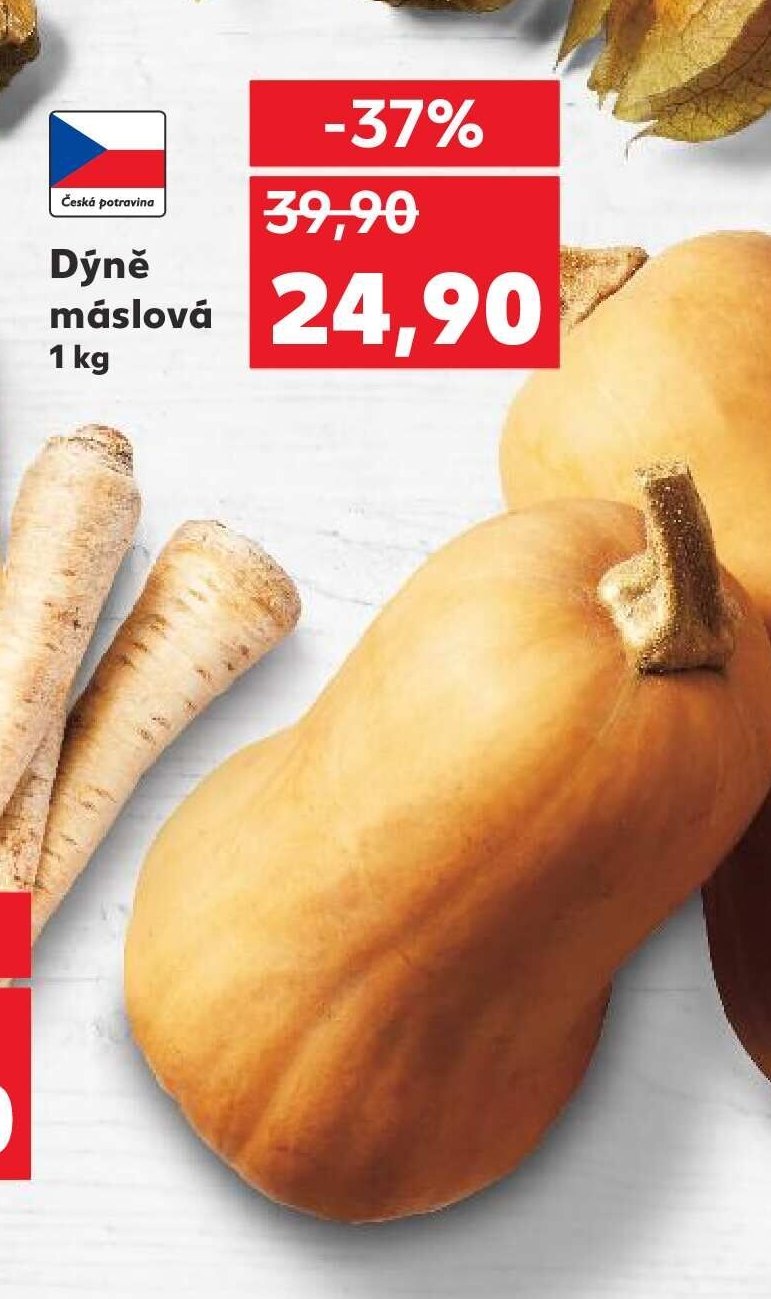 Dýně máslová