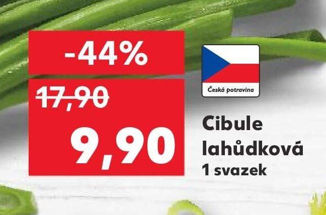 Cibule lahůdková