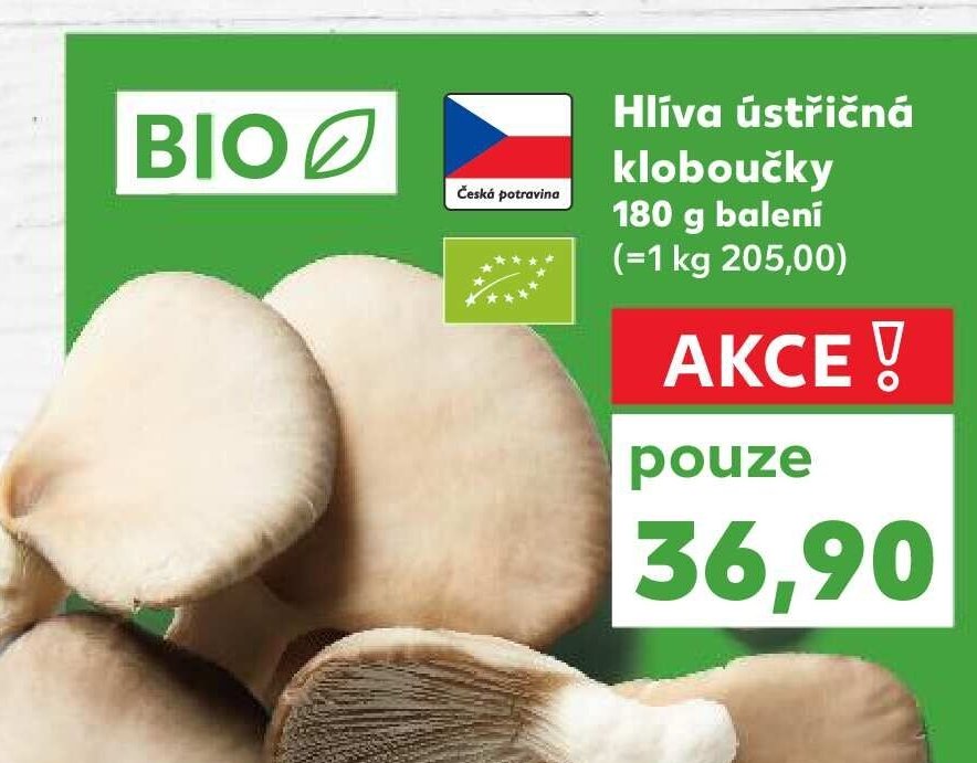 Hlíva ústřičná kloboučky