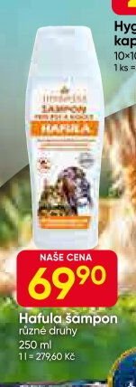 Hafula šampon